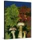 Wine caps wild Mushrooms-null-Stretched Canvas