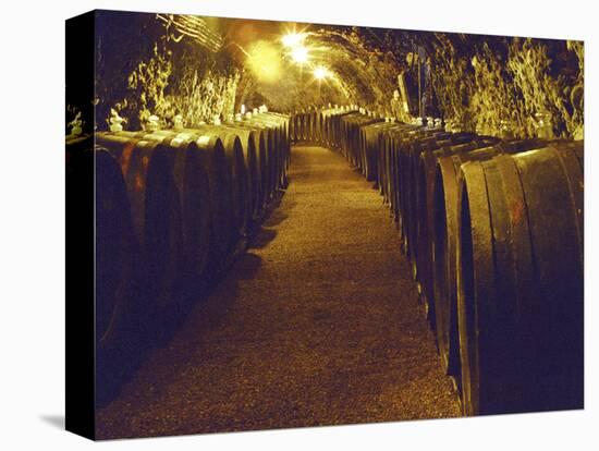 Wine Cellar with Tunnels of Wooden Barrels and Tokaj Wine, Royal Tokaji Wine Company, Mad, Hungary-Per Karlsson-Premier Image Canvas