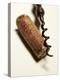 Wine Cork with Corkscrew-Joerg Lehmann-Premier Image Canvas