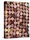 Wine Corks-Frank Tschakert-Premier Image Canvas