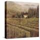 Wine Country I-Longo-Stretched Canvas