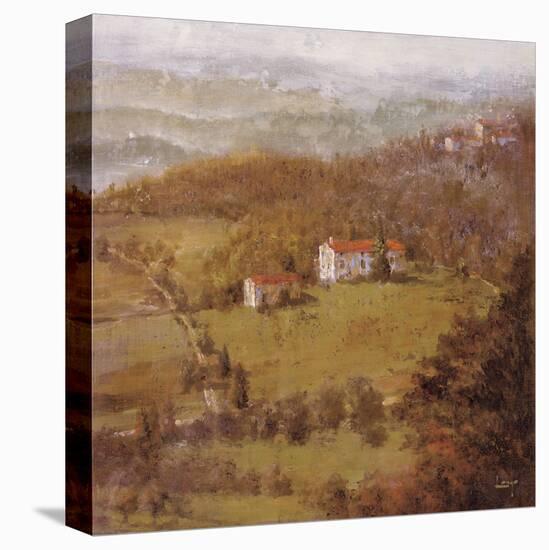 Wine Country II-Longo-Stretched Canvas
