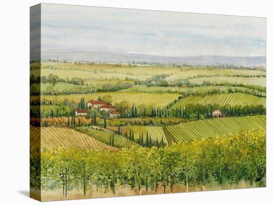 Wine Country View I-Tim O'toole-Stretched Canvas