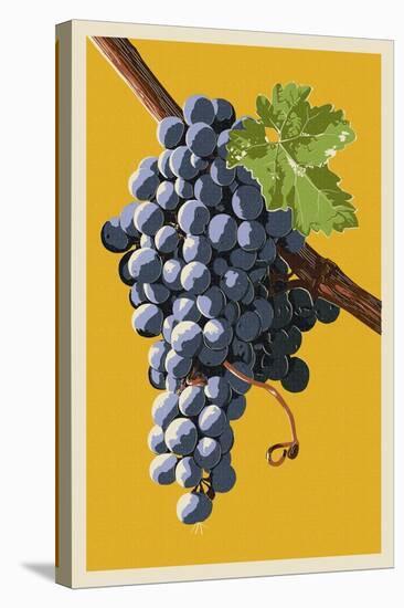 Wine Grapes-Lantern Press-Stretched Canvas