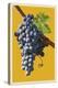 Wine Grapes-Lantern Press-Stretched Canvas