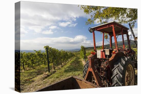 Wine-Growing Area and Tractor Between Mšdling and Gumpoldskirchen, Lower Austria, Austria-Gerhard Wild-Premier Image Canvas