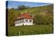 Wine-Growing Museum Hoflš§nitz in the Vineyards in Radebeul Near Dresden-Uwe Steffens-Premier Image Canvas