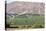 Wine Production in the Footills of the Andes, Valparaiso Region, Chile-Peter Groenendijk-Premier Image Canvas