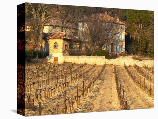 Winery Building at Chateau Saint Cosme, Gigondas, Vaucluse, Rhone, Provence, France-Per Karlsson-Premier Image Canvas