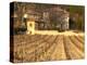 Winery Building at Chateau Saint Cosme, Gigondas, Vaucluse, Rhone, Provence, France-Per Karlsson-Premier Image Canvas