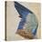 Wing of a Blue Roller, Copy of an Original by Albrecht Durer of 1512-Hans Hoffmann-Premier Image Canvas