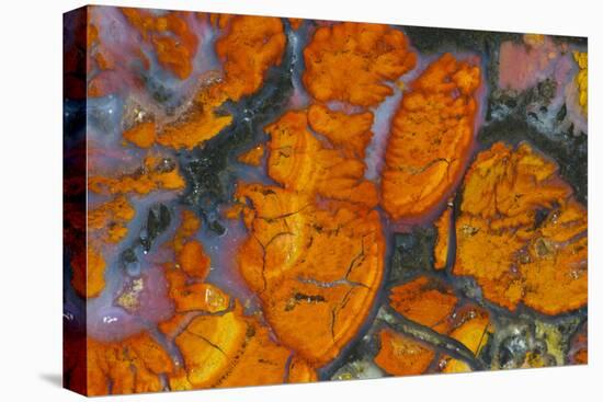 Wingate Pass Agate China Lake Military Reservation CA-Darrell Gulin-Premier Image Canvas