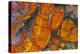 Wingate Pass Agate China Lake Military Reservation CA-Darrell Gulin-Premier Image Canvas