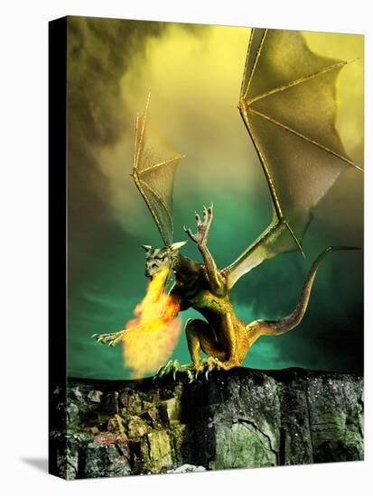 Winged Dragon-Victor Habbick-Premier Image Canvas