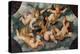 Winged Putti with Garlands-Paris Bordone-Premier Image Canvas