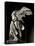 Winged Victory of Samothrace-null-Premier Image Canvas