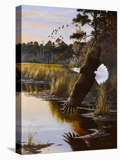 Wings of Autumn - Bald Eagle-Wilhelm Goebel-Premier Image Canvas