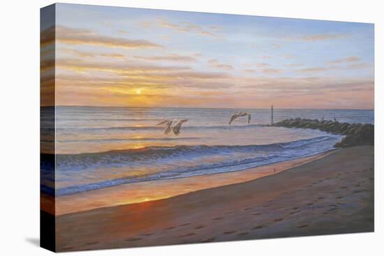 Wings over Captiva-Bruce Dumas-Premier Image Canvas