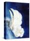 Wings over London, 2013-Nancy Moniz-Premier Image Canvas