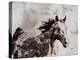 Winner Horse II-Irena Orlov-Stretched Canvas