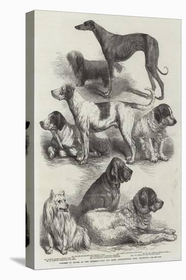 Winners of Prizes at the International Dog Show, Agricultural Hall, Islington-Harrison William Weir-Premier Image Canvas