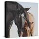 Winston-Renee Gould-Premier Image Canvas