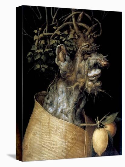 Winter, 1563-Giuseppe Arcimboldi-Premier Image Canvas