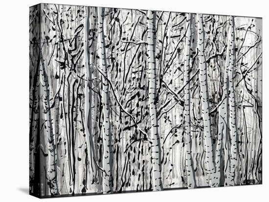 Winter Aspens-Roderick E. Stevens-Premier Image Canvas