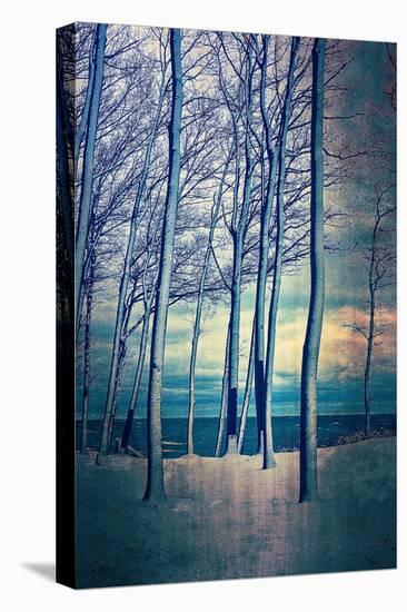Winter At Lake Michigan-Michelle Calkins-Stretched Canvas
