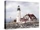 Winter At Portland Head-David Knowlton-Premier Image Canvas