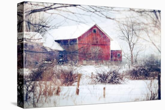 Winter Barn-Kelly Poynter-Stretched Canvas