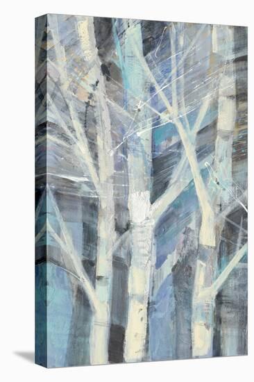 Winter Birches I-Albena Hristova-Stretched Canvas