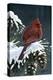 Winter Cardinal-Wilhelm Goebel-Premier Image Canvas