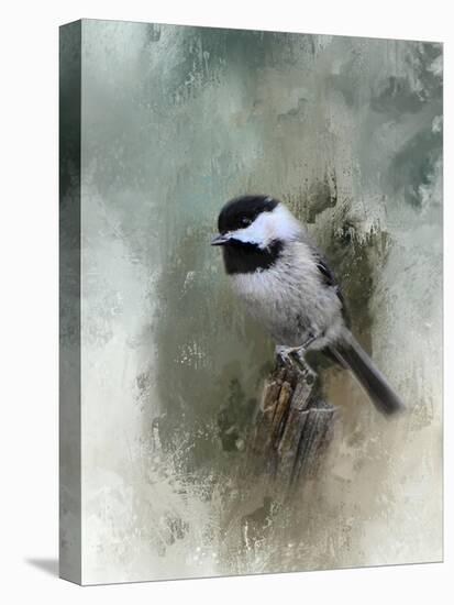 Winter Chickadee-Jai Johnson-Premier Image Canvas