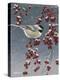 Winter Chickadees I-Fred Szatkowski-Stretched Canvas