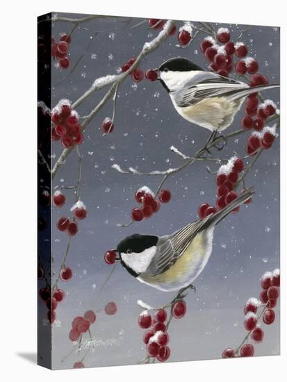 Winter Chickadees II-Fred Szatkowski-Stretched Canvas