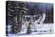 Winter Coats-R.W. Hedge-Premier Image Canvas