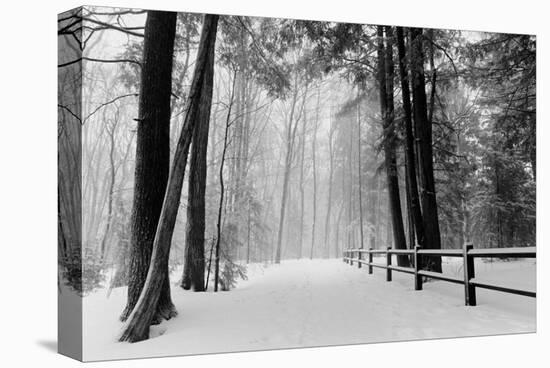 Winter Country Lane, Michigan-null-Stretched Canvas