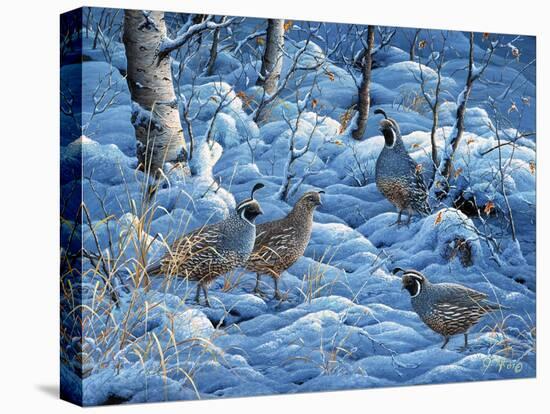 Winter Covey-Jeff Tift-Premier Image Canvas