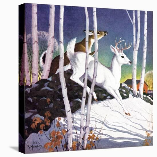 Winter Deer - Child Life-Jack Murray-Premier Image Canvas