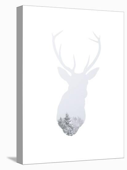 Winter Deer-Melinda Wood-Stretched Canvas