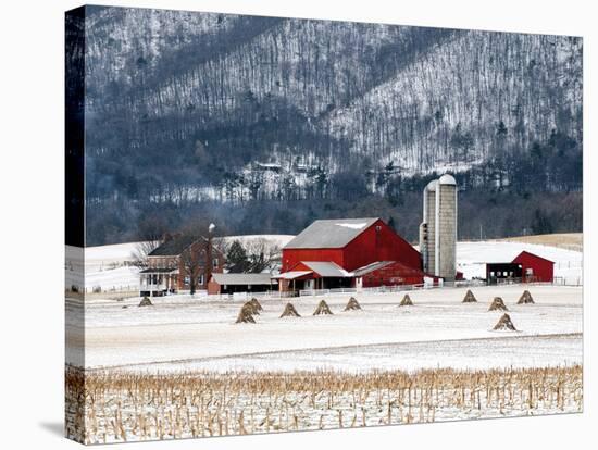 Winter Farm-Bill Coleman-Stretched Canvas