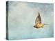 Winter Flight Cedar Waxwing-Jai Johnson-Premier Image Canvas