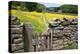 Winter Food for Stock Sign on Gate in Meadow at Muker-Mark Sunderland-Premier Image Canvas