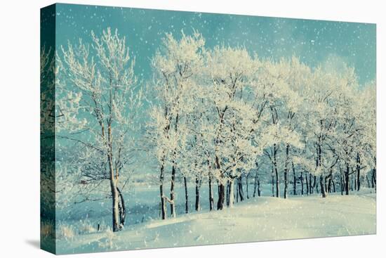 Winter Forest Landscape with Snowy Winter Trees and Snowfall-Marina Zezelina-Premier Image Canvas