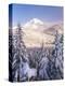 Winter Frost Trees on Mt. Hood, Mt Hood National Forest, Oregon, USA-Stuart Westmorland-Premier Image Canvas