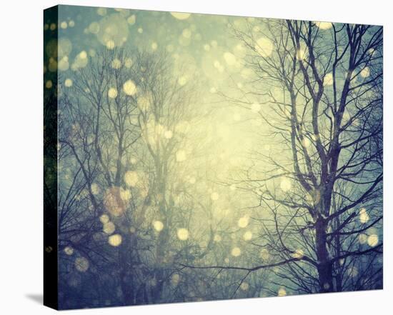 Winter Glow-Irene Suchocki-Stretched Canvas