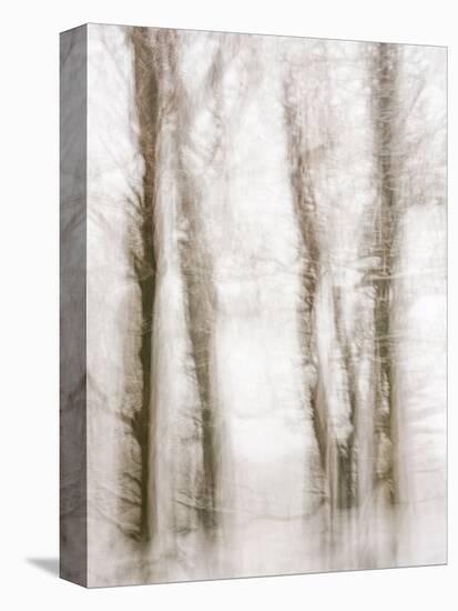 Winter Hush IV-Doug Chinnery-Premier Image Canvas