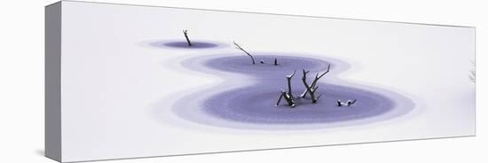 Winter Ice-Panoramic Images-Premier Image Canvas