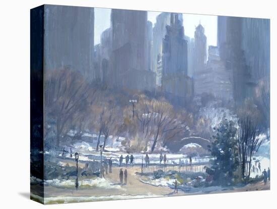 Winter in Central Park, New York, 1997-Julian Barrow-Premier Image Canvas